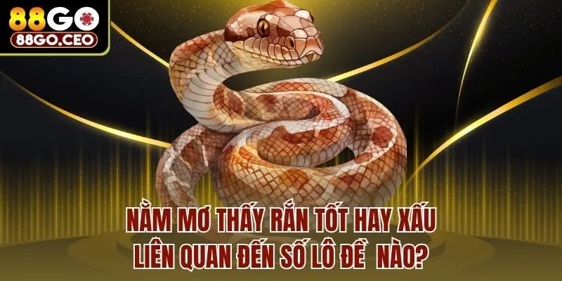 Nằm Mơ Thấy Rắn Tốt Hay Xấu, Liên Quan Đến Số Lô Đề Nào? 1 Nằm Mơ Thấy Rắn Tốt Hay Xấu, Liên Quan Đến Số Lô Đề Nào?
